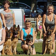 Кинологические выставки 2013
