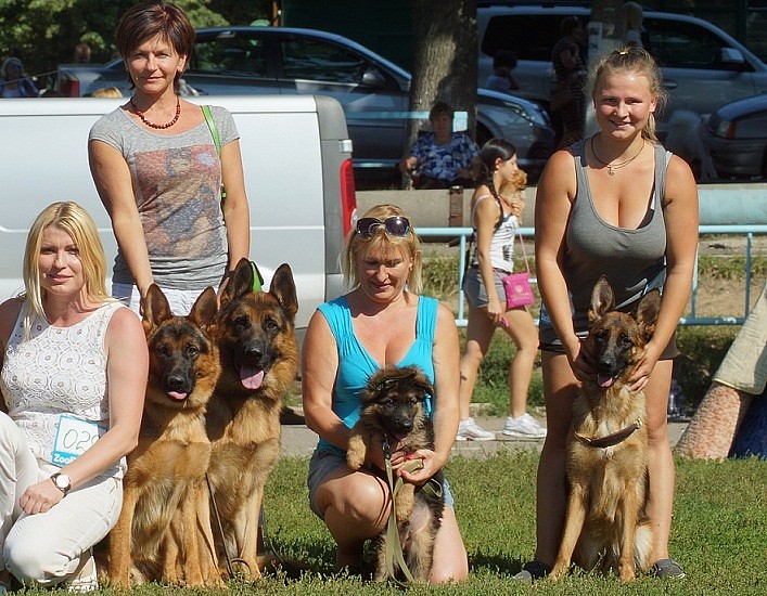 Выставка 2013
