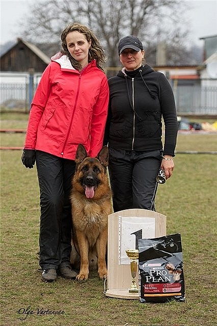 Выставка 2013