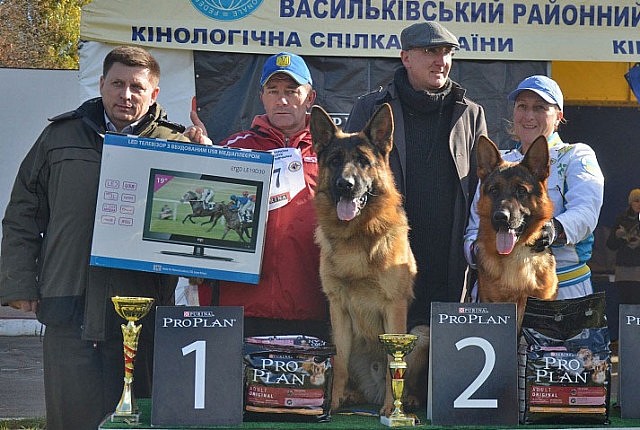 Выставка 2013