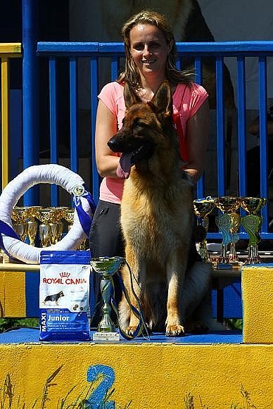 Выставка 2013