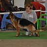 Выставка 2015