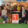 Выставка 2015