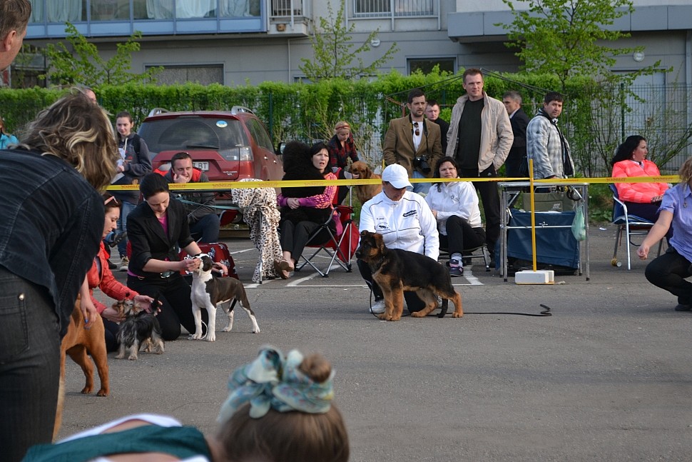 Выставка 2015