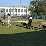 Выставка 2015