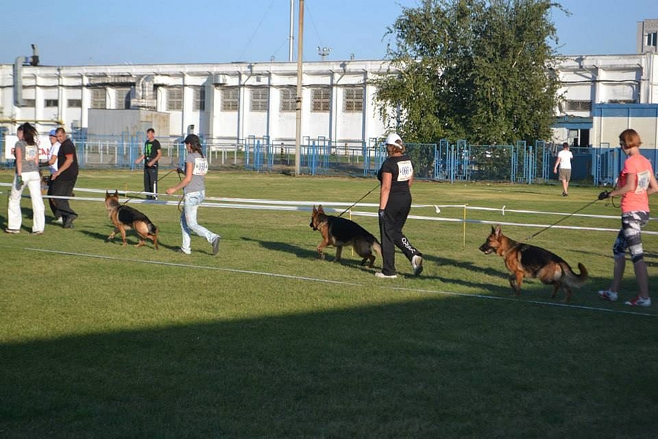 Выставка 2015