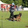 Holland Siegerschau 2018 30.06 - 01.07 2018