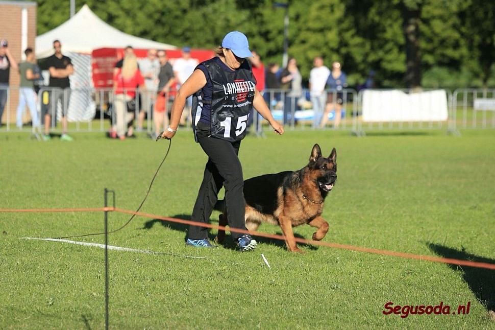 Holland Siegerschau 2018 30.06 - 01.07 2018