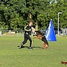 Holland Siegerschau 2018 30.06 - 01.07 2018