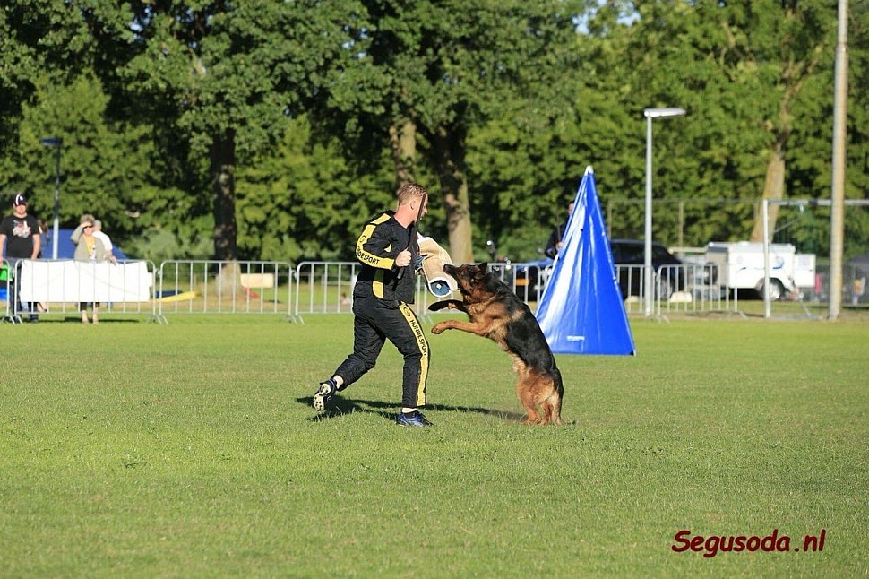 Holland Siegerschau 2018 30.06 - 01.07 2018