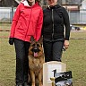 Выставка 2013