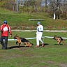 Выставка 2013