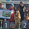 Выставка 2013