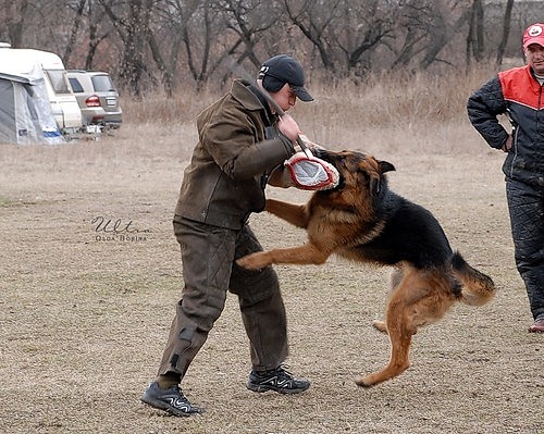 Выставка 2011