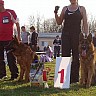 Выставка 2011
