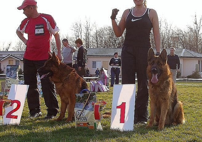 Выставка 2011