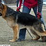 Выставка 2011