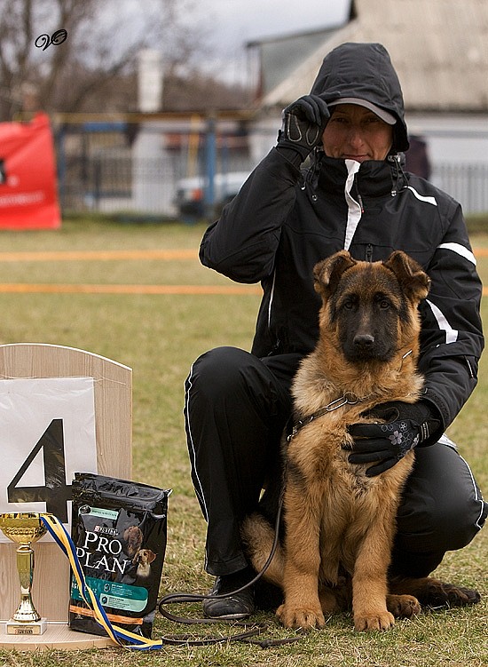 Выставка 2011